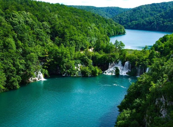 The river and trees in Plitvice Lakes National Park in Croatia