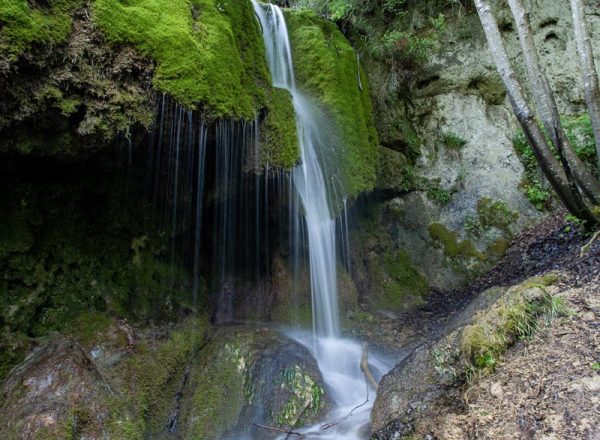 A vertical shot of a waterfall in the middle of the forest in the Eiffel region, Germany